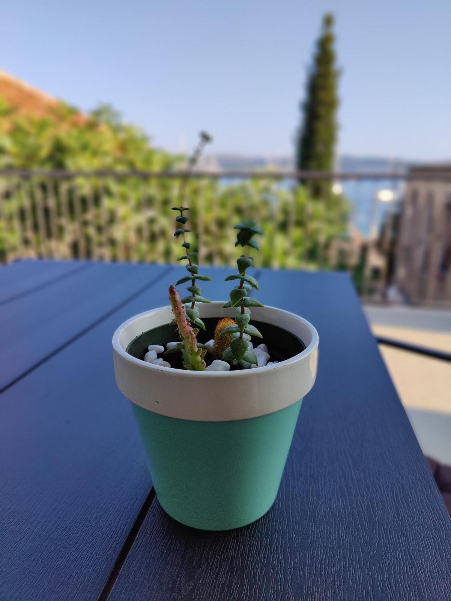 Miro Guesthouse 티바트 외부 사진